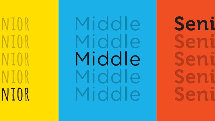 Junior Designer Journey